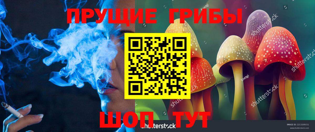 Галлюциногенные грибы GOLDEN TEACHER  Псилоцибиновые грибы мухоморы  Вход с VPN  Джанкой 