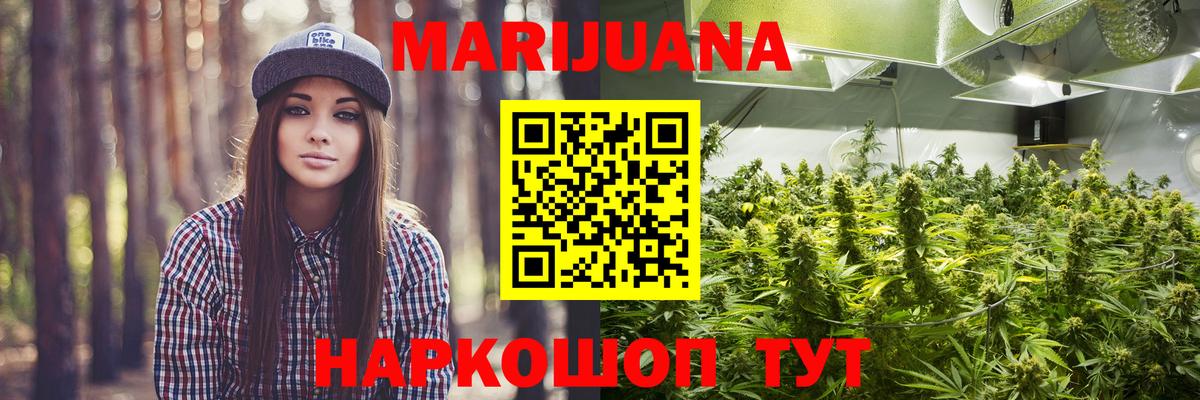 Бошки Шишки планчик Джанкой